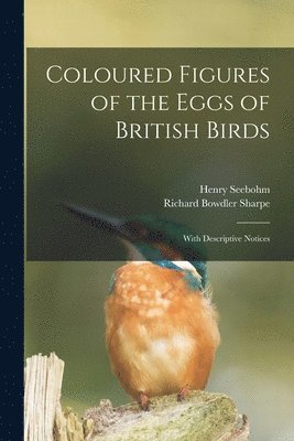 bokomslag Coloured Figures of the Eggs of British Birds