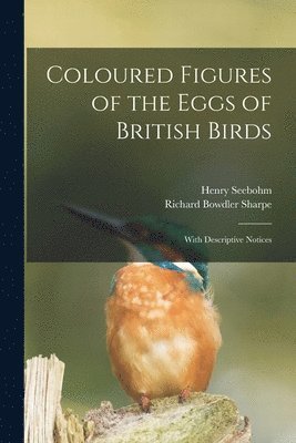 Coloured Figures of the Eggs of British Birds 1