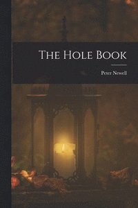 bokomslag The Hole Book