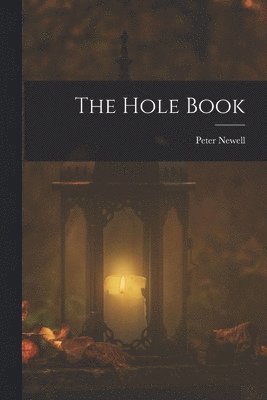 bokomslag The Hole Book