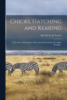 bokomslag Chicks, Hatching and Rearing; a Manual of Dependable Instruction in Incubating, Brooding, Feeding ..