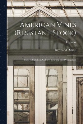 American Vines (resistant Stock) 1