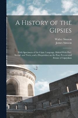 bokomslag A History of the Gipsies