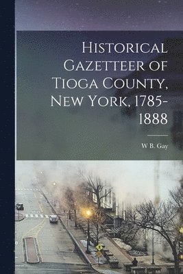 bokomslag Historical Gazetteer of Tioga County, New York, 1785-1888