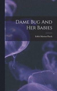 bokomslag Dame Bug And Her Babies