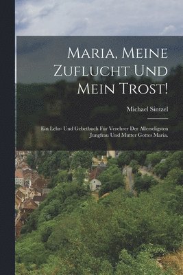 bokomslag Maria, meine Zuflucht und mein Trost!