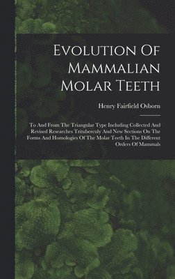 Evolution Of Mammalian Molar Teeth 1