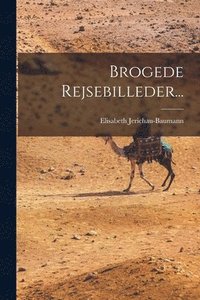 bokomslag Brogede Rejsebilleder...
