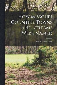 bokomslag How Missouri Counties, Towns And Streams Were Named