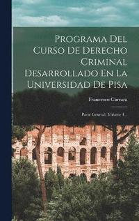 bokomslag Programa Del Curso De Derecho Criminal Desarrollado En La Universidad De Pisa