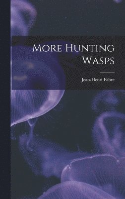 More Hunting Wasps 1