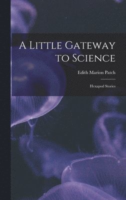 bokomslag Little Gateway to Science