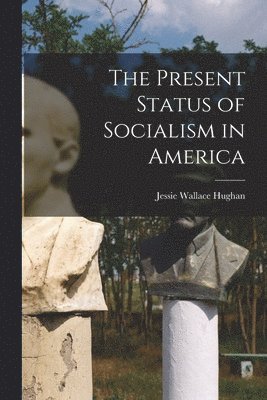 bokomslag The Present Status of Socialism in America