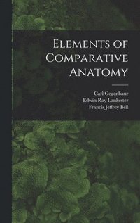 bokomslag Elements of Comparative Anatomy