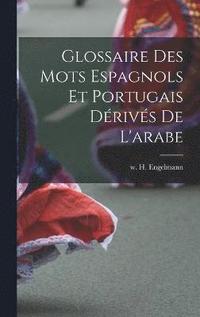 bokomslag Glossaire des mots Espagnols et Portugais Drivs de l'arabe