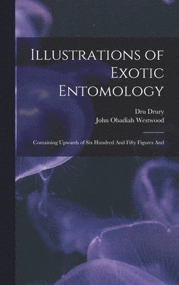 Dru Drury, John Obadiah Westwood - Illustrations of Exotic Entomology; Containing Upwards of six Hundred And Fifty Figures And, Inbunden