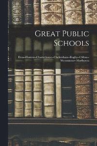 bokomslag Great Public Schools
