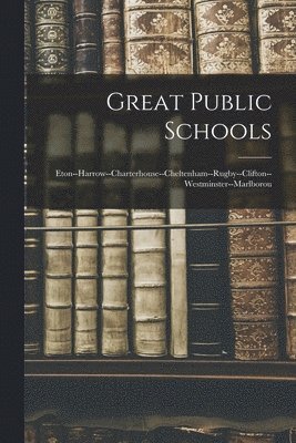 bokomslag Great Public Schools