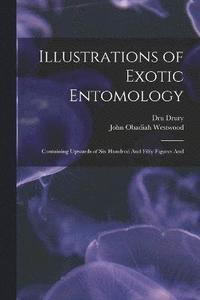 bokomslag Illustrations of Exotic Entomology; Containing Upwards of six Hundred And Fifty Figures And
