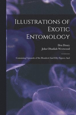 Dru Drury, John Obadiah Westwood - Illustrations of Exotic Entomology; Containing Upwards of six Hundred And Fifty Figures And, Häftad
