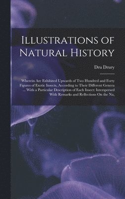 Dru Drury - Illustrations of Natural History, Inbunden
