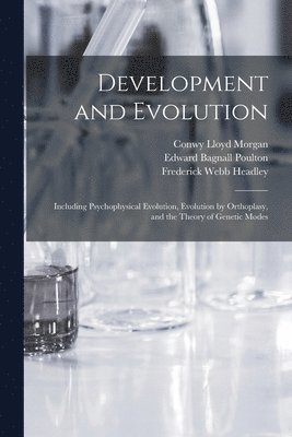 bokomslag Development and Evolution