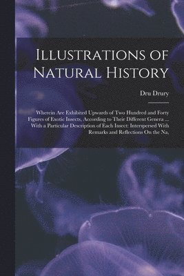 Dru Drury - Illustrations of Natural History, Häftad