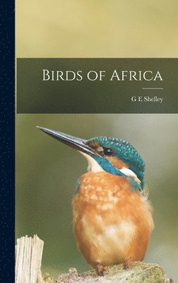 bokomslag Birds of Africa