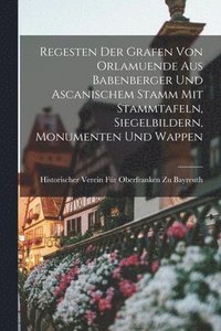 bokomslag Regesten Der Grafen Von Orlamuende Aus Babenberger Und Ascanischem Stamm Mit Stammtafeln, Siegelbildern, Monumenten Und Wappen