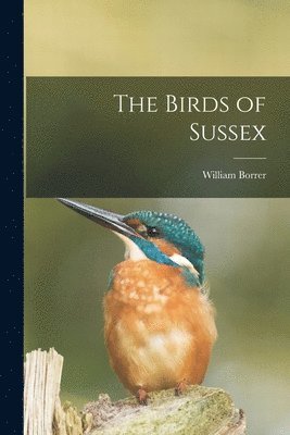 The Birds of Sussex 1