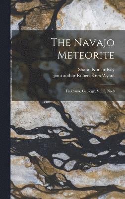 The Navajo Meteorite 1