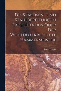 bokomslag Stabeisen- und Stahlbereitung in Frischherden oder der wohlunterrichtete Hammermeister.