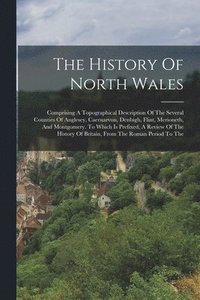 bokomslag The History Of North Wales