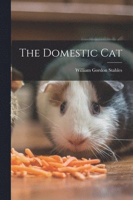 Domestic Cat