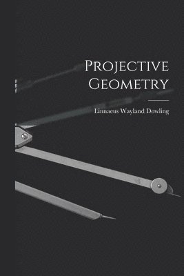 bokomslag Projective Geometry