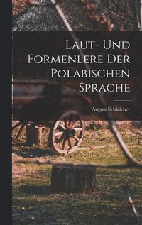 bokomslag Laut- Und Formenlere der Polabischen Sprache