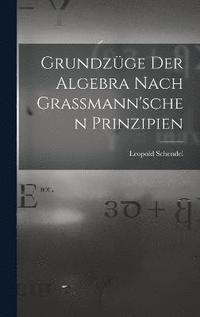 bokomslag Grundzge der Algebra Nach Grassmann'schen Prinzipien