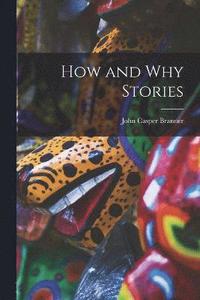 bokomslag How and Why Stories