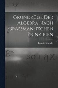 bokomslag Grundzge der Algebra Nach Grassmann'schen Prinzipien