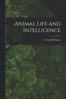 bokomslag Animal Life and Intelligence