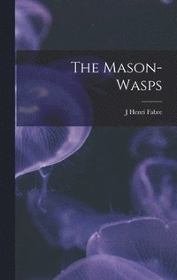 bokomslag The Mason-Wasps