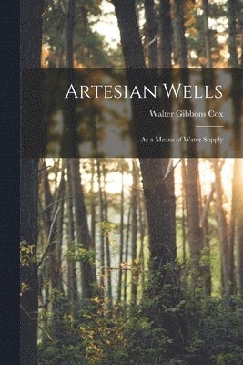 bokomslag Artesian Wells