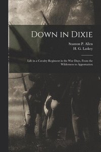 bokomslag Down in Dixie