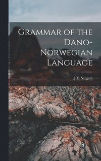 bokomslag Grammar of the Dano-Norwegian Language