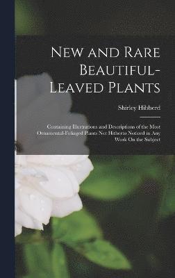 New and Rare Beautiful-Leaved Plants 1