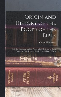 bokomslag Origin and History of the Books of the Bible