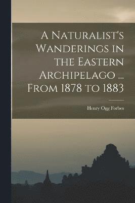 bokomslag A Naturalist's Wanderings in the Eastern Archipelago ... From 1878 to 1883