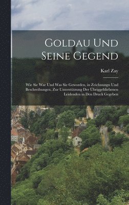 bokomslag Goldau Und Seine Gegend