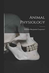 bokomslag Animal Physiology