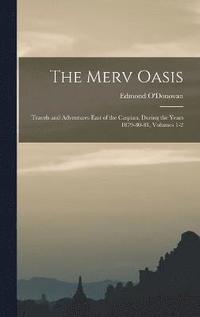 bokomslag The Merv Oasis